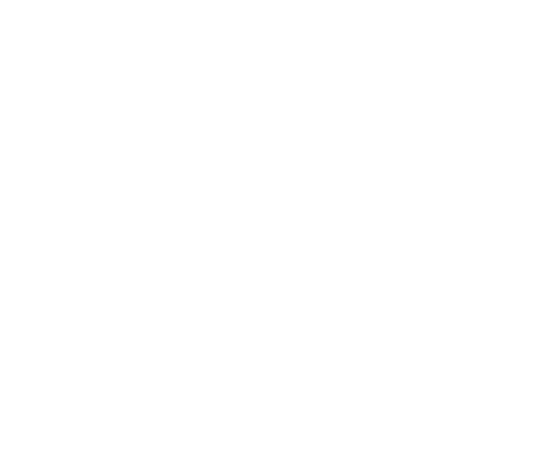 Shaping Minds Logo